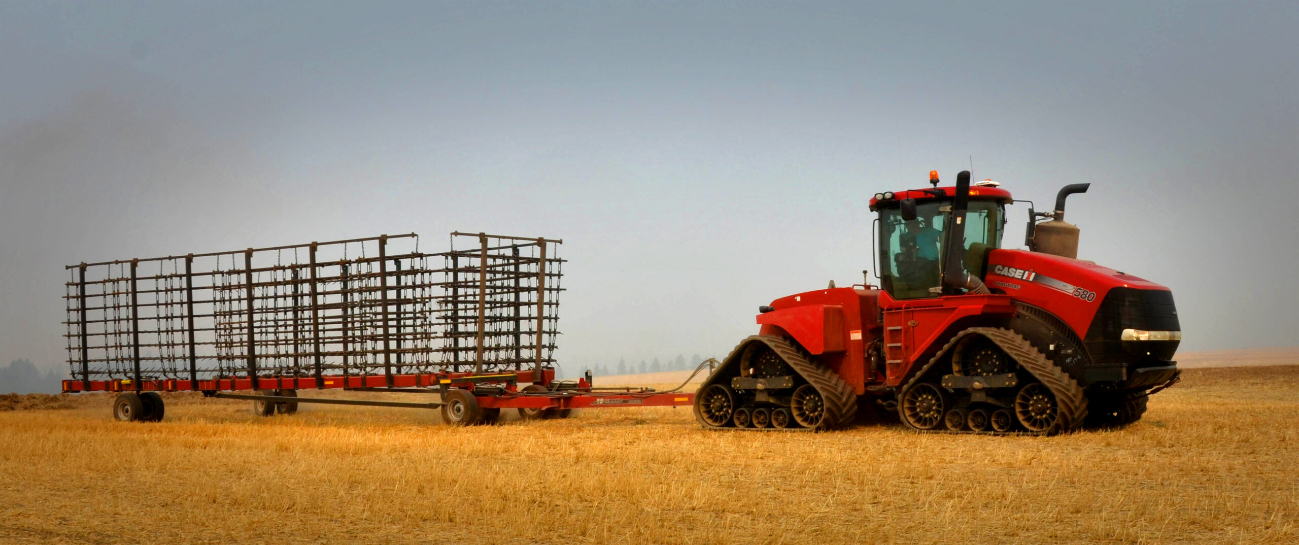 DSC_6149 edited Harrow