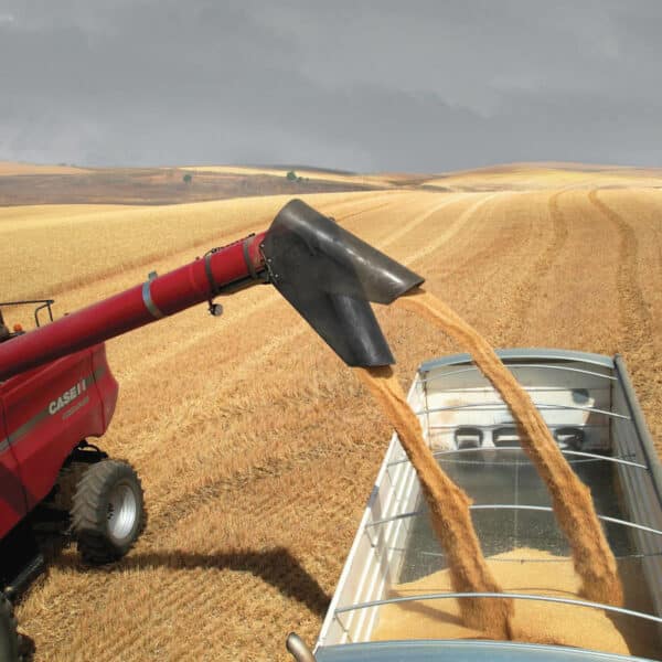 Pivoting Spout For Case-IH Combines - CPS1410
