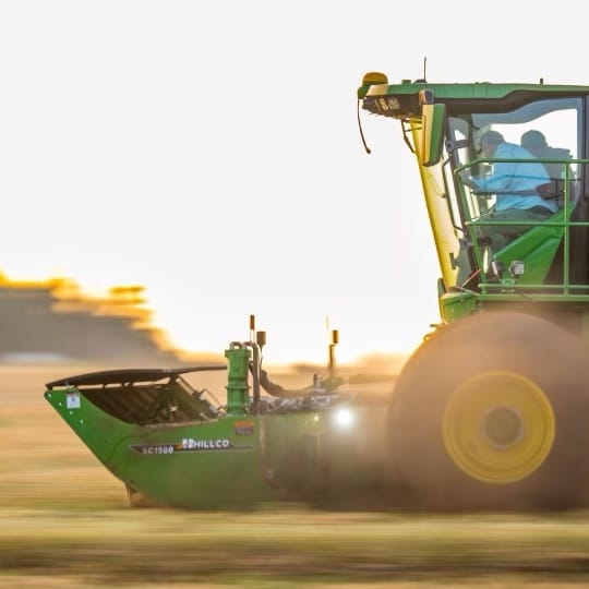 Hillco Specialty Crop Header, harvest