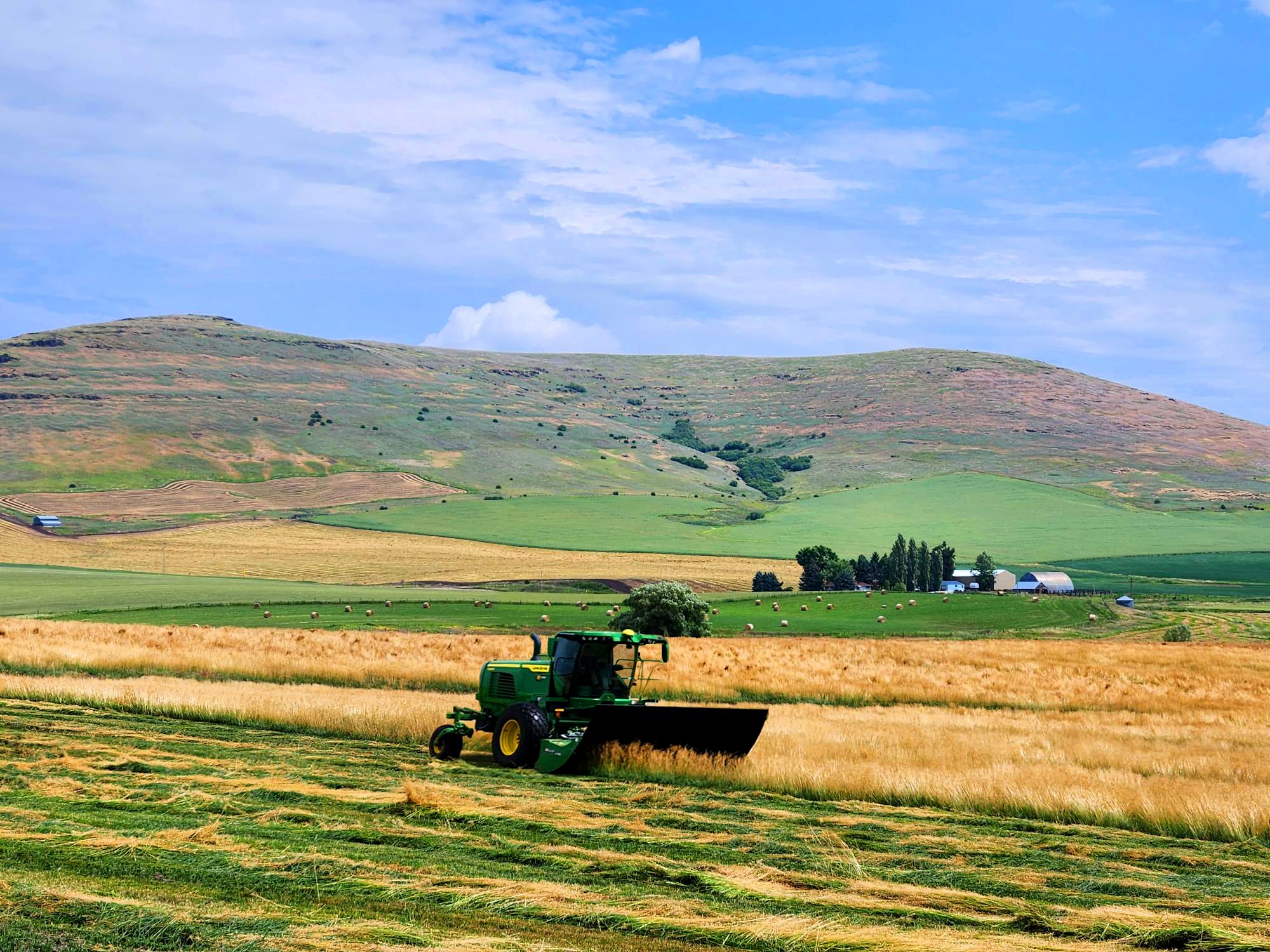sc1500, hillco, john deere, idaho, northern idaho, hillco header, specialty crop header