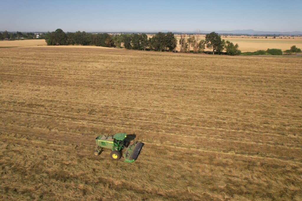 sc1500, hillco, hillco header, specialty header, specialty crop header, headless, oregon harvest 2024