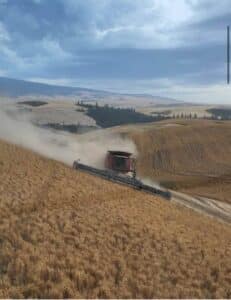 Kaleb ellis, Hillco, Hillside farming, lapwai id, idaho, case ih, 9250, steep farm ground