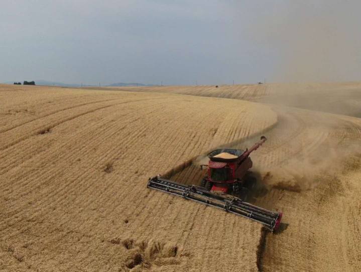 Kaleb Ellis, Hillco, Hillside farming, lapwai id, idaho, case ih, 9250, steep farm ground